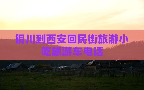 铜川到西安回民街旅游小吃
