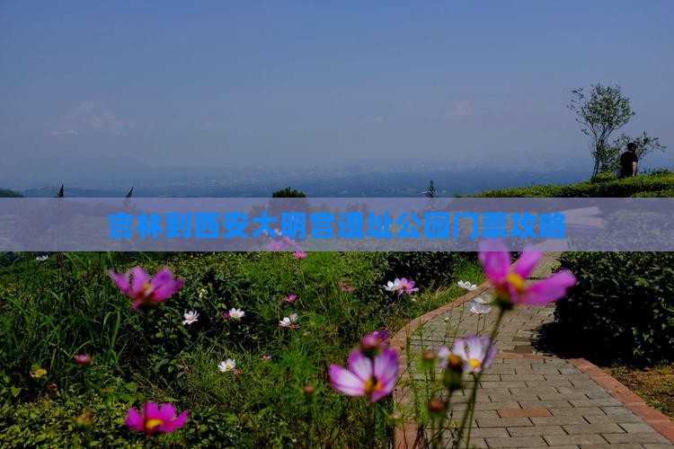 吉林到西安大明宫国家遗址公园门票