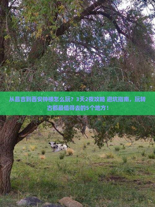 昌吉到西安钟楼哪里玩