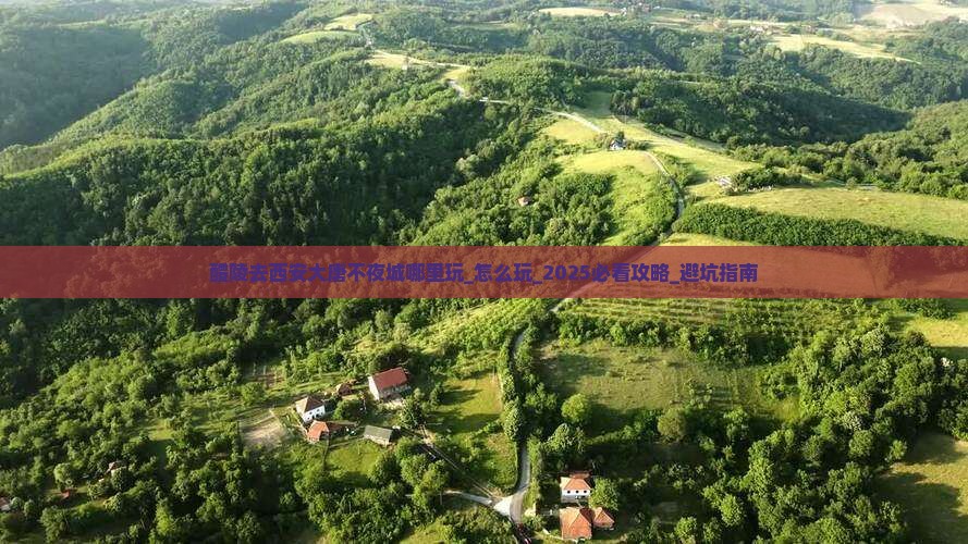 醴陵去西安大唐不夜城哪里玩