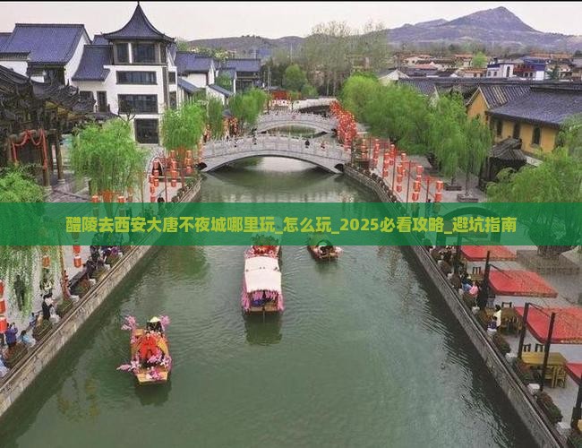 醴陵去西安大唐不夜城哪里玩