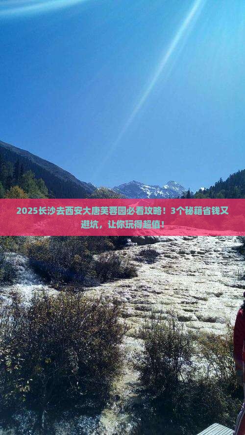 长沙去西安大唐芙蓉园景点