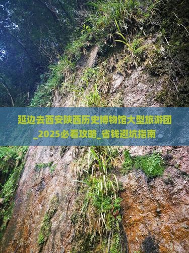 延边去西安陕西历史博物馆大型旅游团