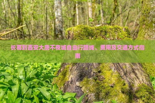 长葛到西安大唐不夜城自由行