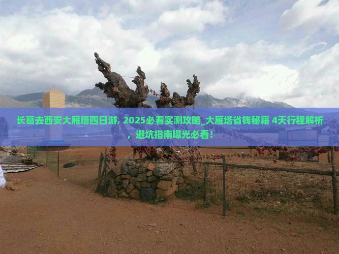 长葛去西安大雁塔四日游