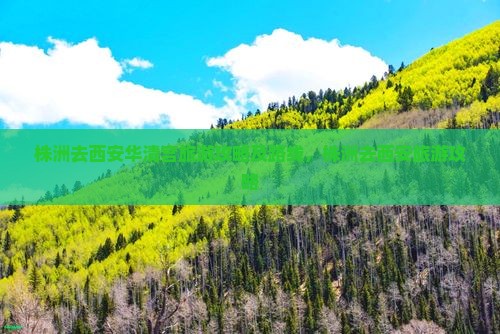 株洲去西安华清宫旅游
