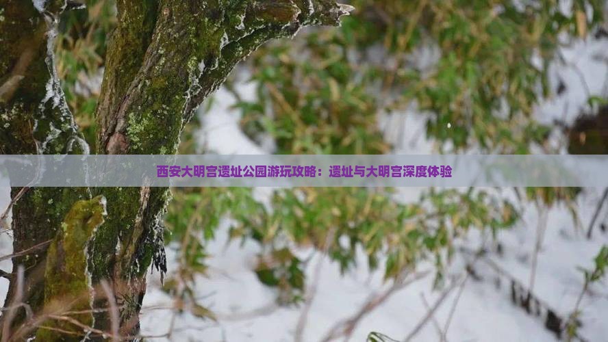 巴音郭楞到西安大明宫国家遗址公园哪里玩
