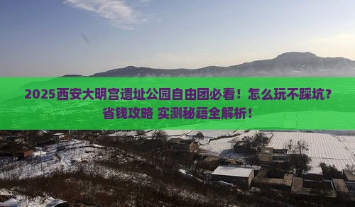 巢湖去西安大明宫国家遗址公园自由团
