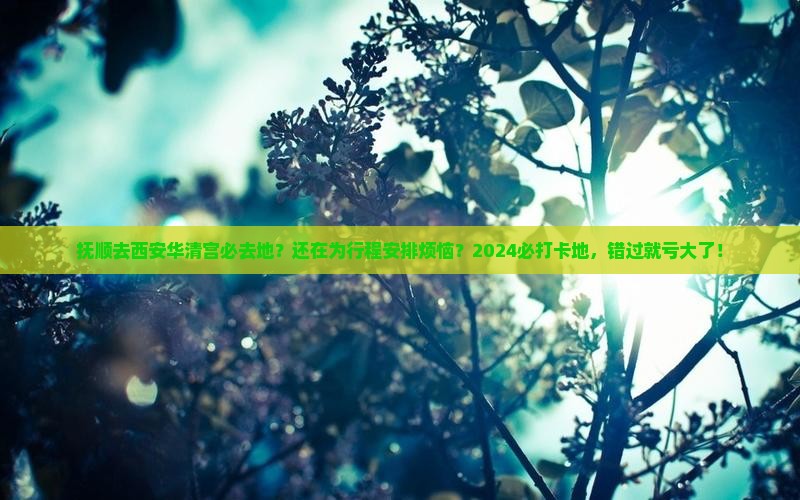 抚顺去西安华清宫必去地
