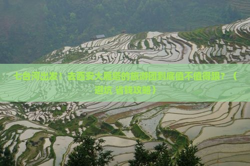 七台河到西安大雁塔大型旅游团