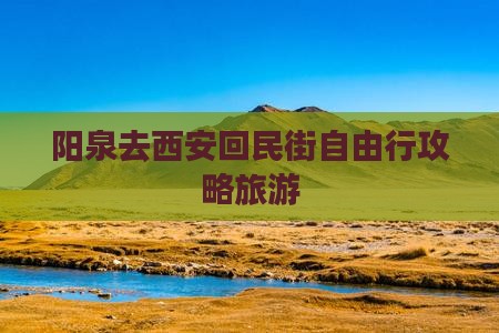 阳泉去西安回民街自由行