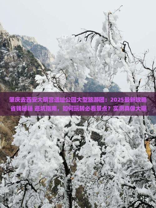 肇庆去西安大明宫国家遗址公园大型旅游团