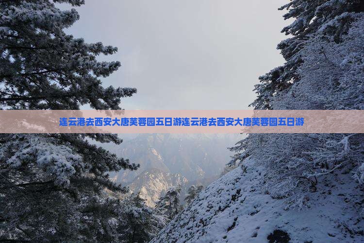 连云港去西安大唐芙蓉园五日游