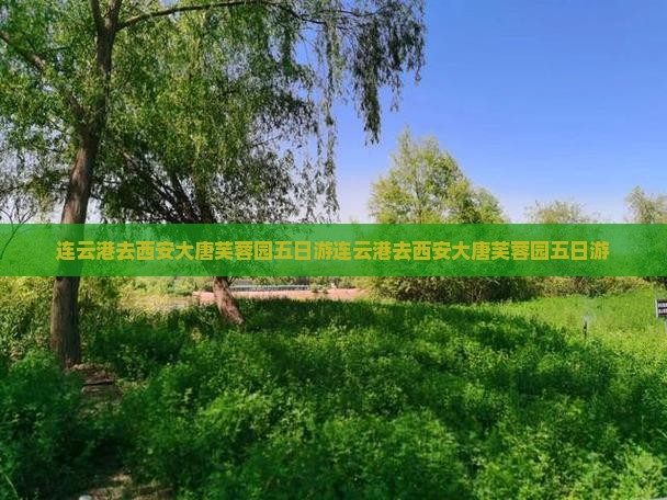 连云港去西安大唐芙蓉园五日游