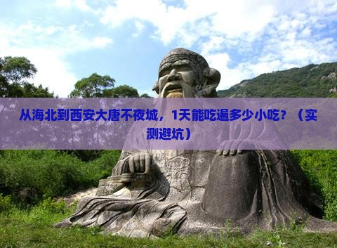 海北去西安大唐不夜城旅游小吃