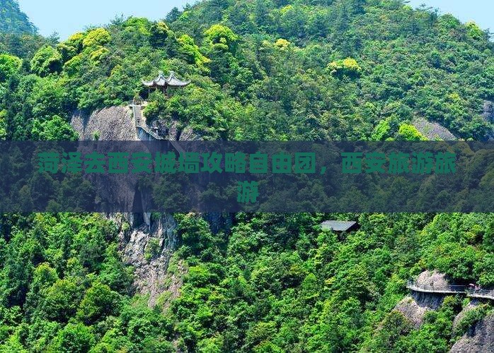 菏泽去西安城墙自由团