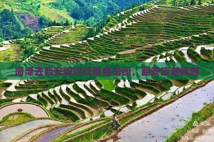 菏泽去西安城墙自由团