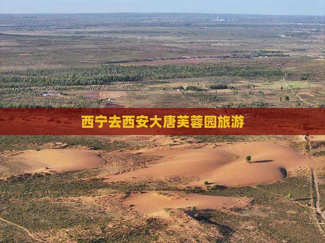 西宁去西安大唐芙蓉园旅游