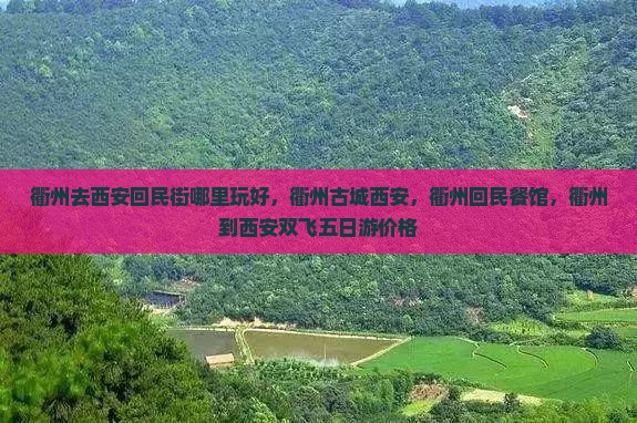 衢州去西安回民街哪里玩
