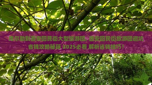 库尔勒到西安回民街大型旅游团
