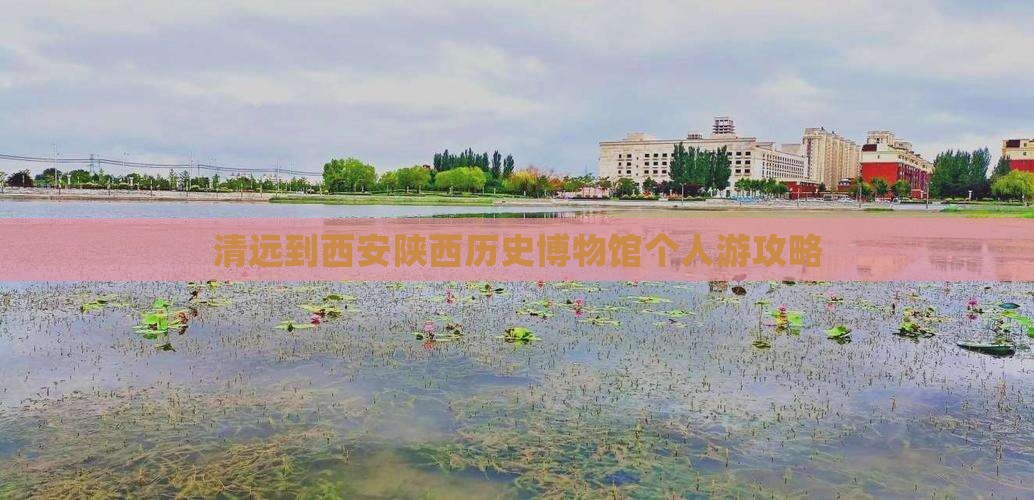 清远到西安陕西历史博物馆个人游