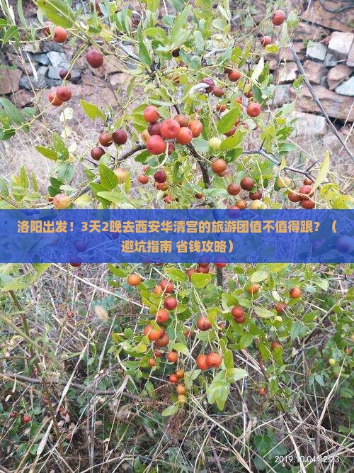 洛阳去西安华清宫大型旅游团