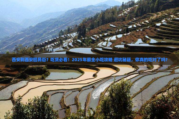 西安到西安回民街旅游小吃