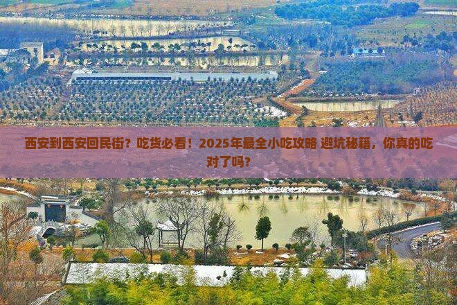 西安到西安回民街旅游小吃