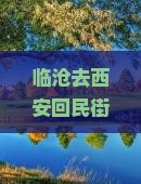 临沧去西安回民街自由团