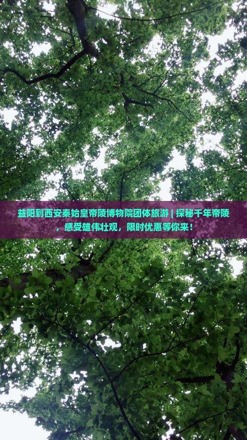 益阳到西安秦始皇帝陵博物院团体旅游