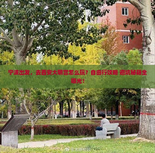 宁波到西安大明宫国家遗址公园自由行