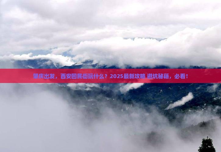 肇庆去西安回民街哪里玩