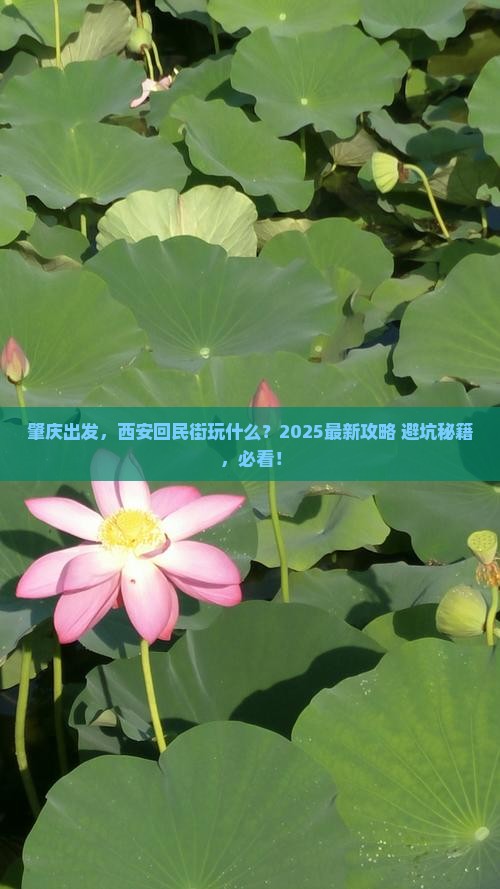 肇庆去西安回民街哪里玩