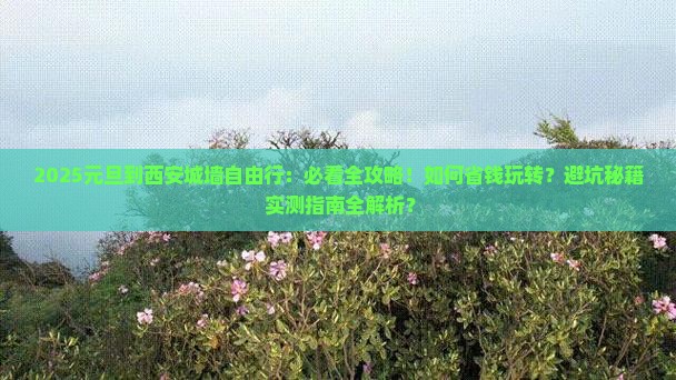 元旦到西安城墙自由行