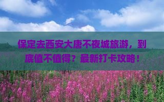 保定去西安大唐不夜城旅游