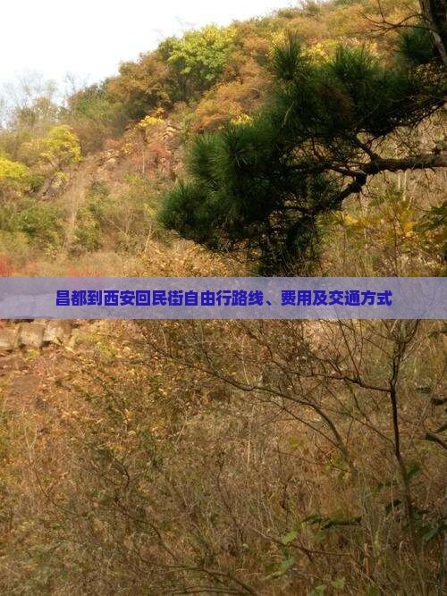 昌都到西安回民街自由行