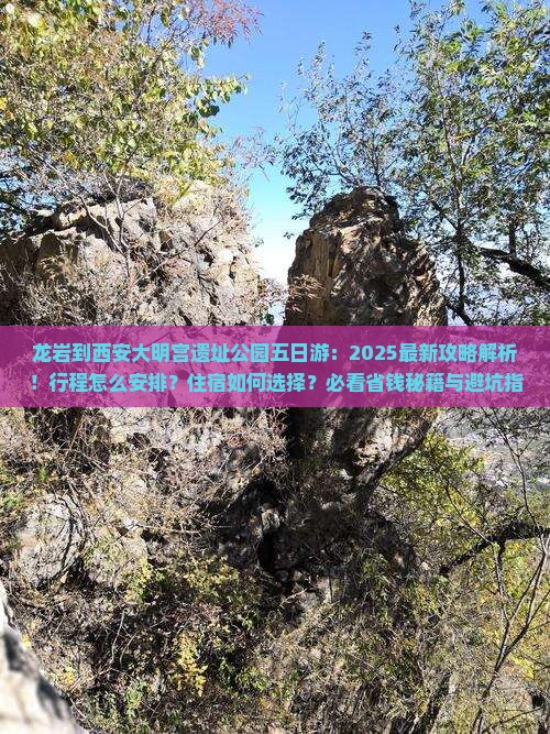 龙岩到西安大明宫国家遗址公园五日游