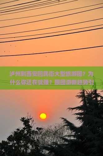 泸州到西安回民街大型旅游团 泸州到西安回民街大型旅游团