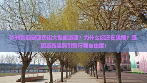泸州到西安回民街大型旅游团 泸州到西安回民街大型旅游团