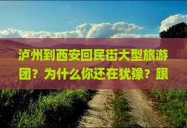 泸州到西安回民街大型旅游团 泸州到西安回民街大型旅游团