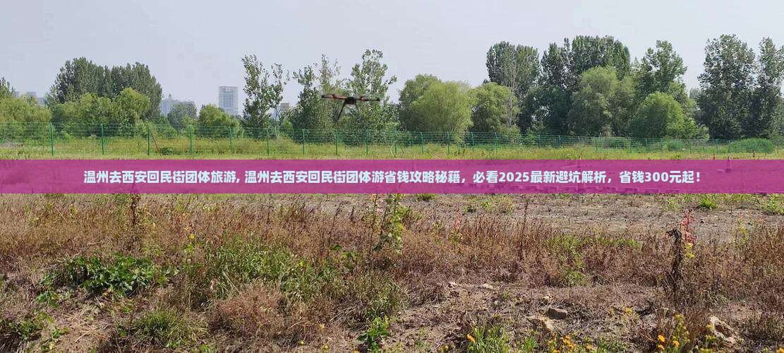 温州去西安回民街团体旅游