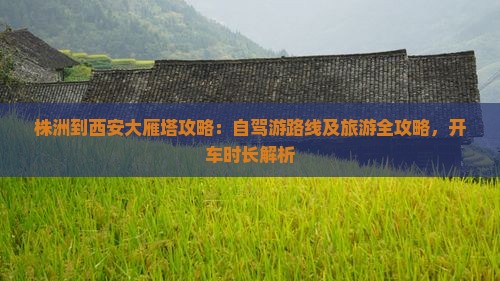 株洲到西安大雁塔攻略：自驾游路线及旅游全攻略，开车时长解析