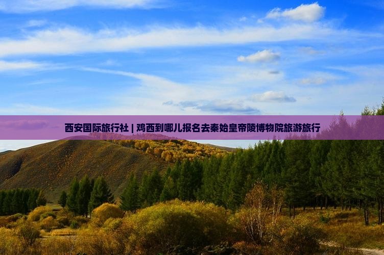 西安国际旅行社 | 鸡西到哪儿报名去秦始皇帝陵博物院旅游旅行