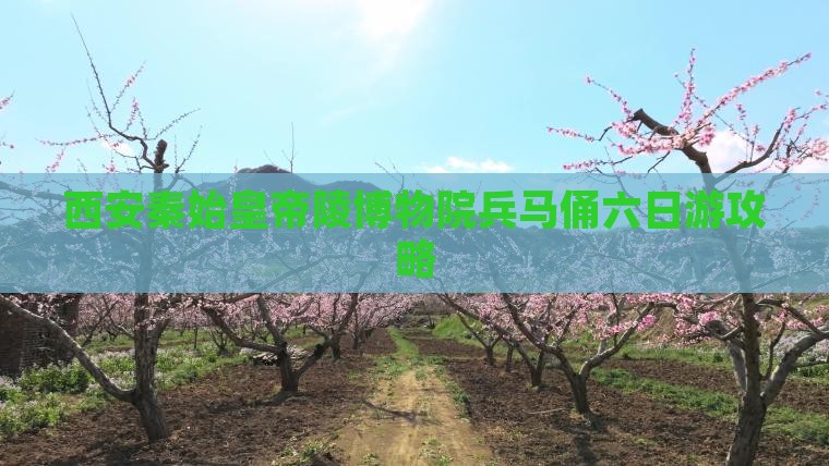 西安秦始皇帝陵博物院兵马俑六日游攻略