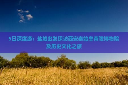 5日深度游：盐城出发探访西安秦始皇帝陵博物院及历史文化之旅