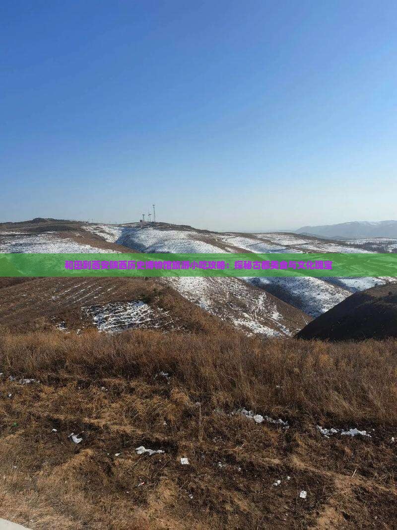 和田到西安陕西历史博物馆旅游小吃攻略：探秘古都美食与文化瑰宝