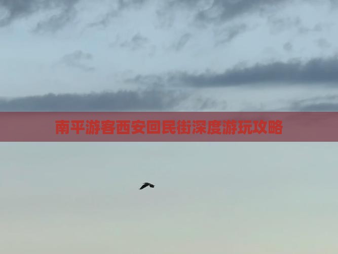 南平游客西安回民街深度游玩攻略