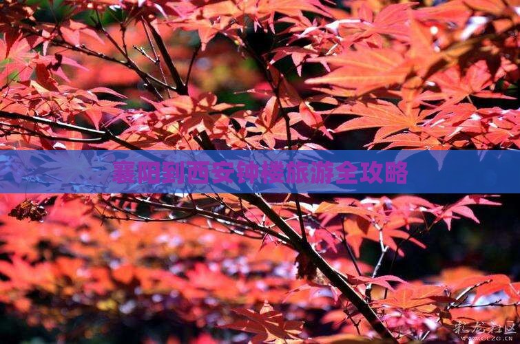 襄阳到西安钟楼旅游全攻略