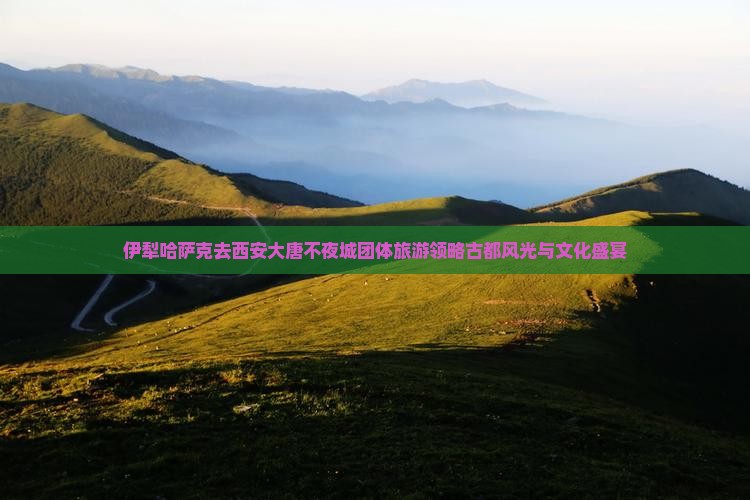 伊犁哈萨克去西安大唐不夜城团体旅游领略古都风光与文化盛宴