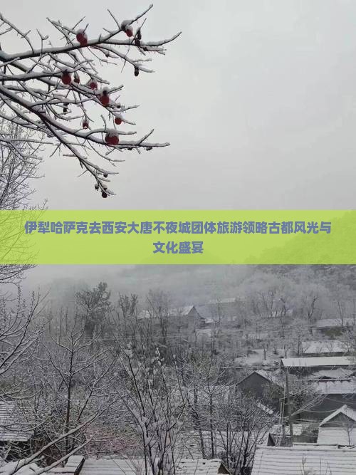 伊犁哈萨克去西安大唐不夜城团体旅游领略古都风光与文化盛宴